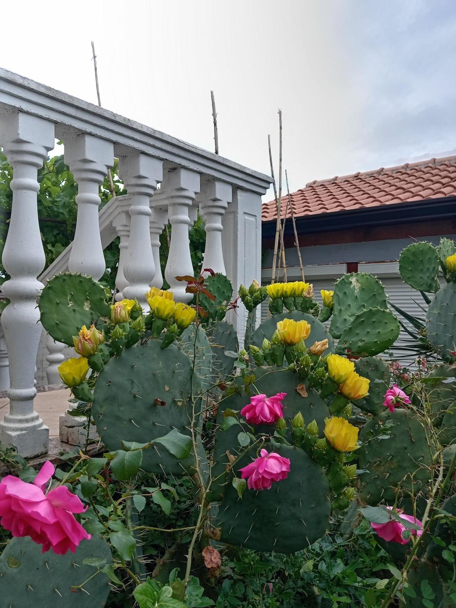 Appartamento Lili Umago Esterno foto